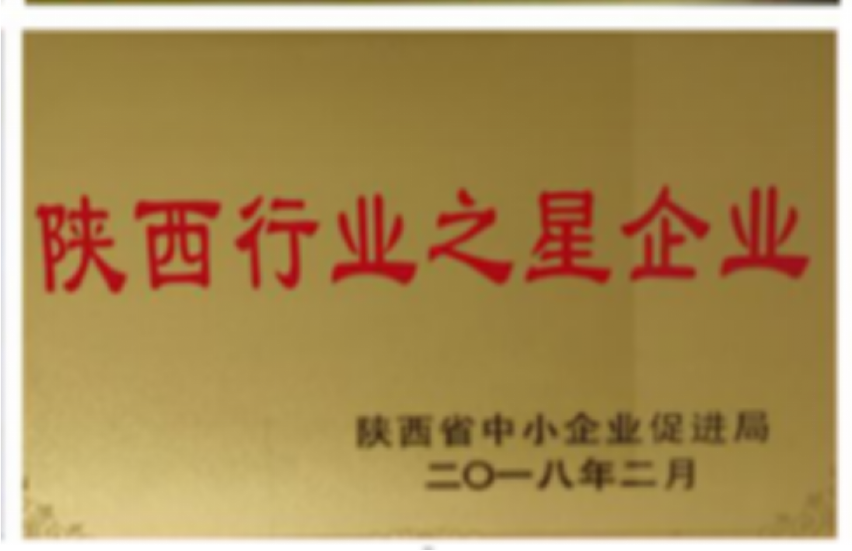 陕西行业之星企业(图1)